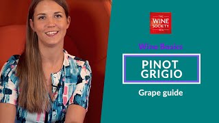 Wine Basics Pinot Grigio amp Pinot Gris Grape Variety Masterclass [upl. by Bealle636]