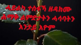 ሓይልካ ተስፋኻ ዘዳክሙ ሕማቅ ልምድታትን ሓሳባትን እንታይ እዮም [upl. by Marcelia]