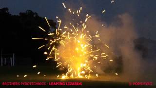 Brothers Pyrotechnics Leaping Lizards Fountain Firework [upl. by Nuli]