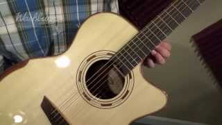 Washburn WCG25SCE Demo [upl. by Haila]