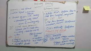 Respiratory anatomy and physiology crash course Lecture 2nd [upl. by Benildas447]