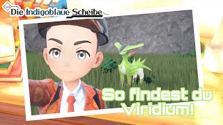 So findest du Viridium  Pokemon Karmesin Purpur DLC die Indigoblaue Scheibe [upl. by Onifled435]