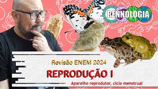 REVISÃO ENEM 2024  Reprodução I [upl. by Kcirneh925]