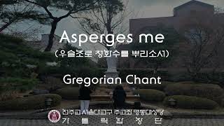 서울대교구 주교좌 명동대성당 가톨릭합창단 Asperges meGregorian Chant [upl. by Julian]