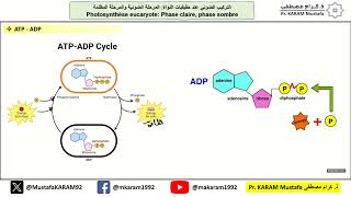 علوم الحياة والأرض الحصة رقم 3 منقحةPhotosynthèse  Métabolisme cellulaire  Catabolisme oxydatif [upl. by Yetta]