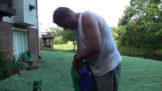 Compadre Zenith Zoysia grass Seed vs Plugs Part 2 How to plant seeds Maryland area [upl. by Calva356]