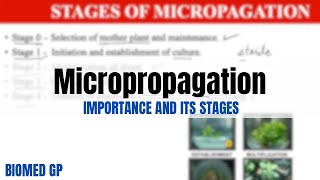 Micropropagation Importance and its stages [upl. by Maise]