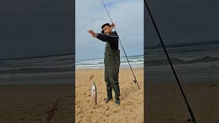 surf fishing Australian salmon salmon fishing beach beach [upl. by Niryt]