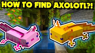 How to Find AXOLOTL in Minecraft 120 How to Find Lush Caves  Java amp Bedrock Very Easy [upl. by Stoops]