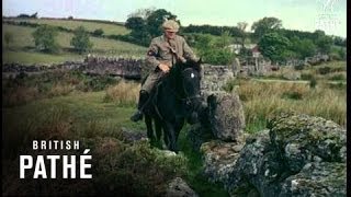 Dartmoor Postman Beware  Other Colour Pics Share This Title 1957 [upl. by Ahsekad328]