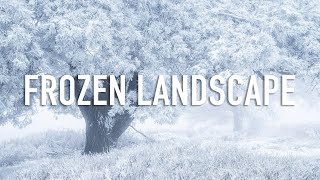 Landscape Photography in a Frozen Wilderness [upl. by Einna]