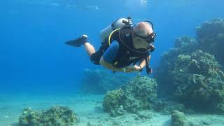 Eilat  111124  diving near border [upl. by Eednas]