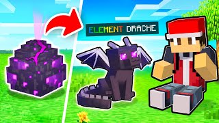 Wir adoptieren ELEMENT DRACHEN in Minecraft [upl. by Nilrac]