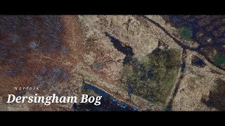 Dersingham Bog Norfolk  DJI Mavic Pro [upl. by Ahtanoj]