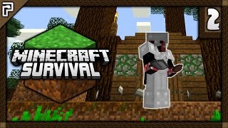 💎 LUCKY Witch Creeper Brothers amp Mob MAYHEM  Lets Play Minecraft Survival 112 [upl. by Aehtna]