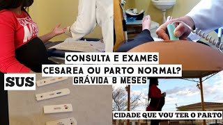 MEU PARTO VAI SER CESÁREA SUS CONSULTAS E EXAMES 8 MESES [upl. by Ahselyt]