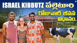 kibbutz Village Daily Life in Israel 🇮🇱  Uma Telugu Traveller [upl. by Matronna]