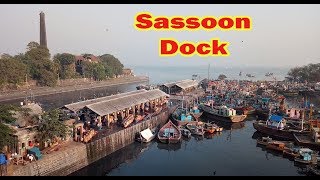 Sassoon Dock Art Project  Colaba  Art For All [upl. by Onairda]