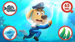 Swimming Safety Tips  Cartoons for Kids  Police Rescue  Sheriff Labrador [upl. by Liane198]