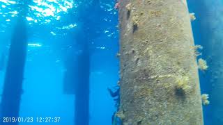 Diving inspection for the piling works and cathodic protection installation [upl. by Morrissey]