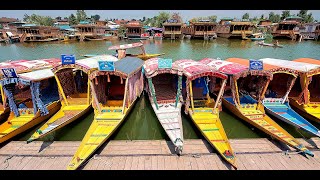 Shikara l Dale Lake l Kashmir Tour [upl. by Che190]