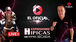 PRONOSTICOS CARRERAS AMERICANAS EN VIVO EXPRESIONES HIPICAS [upl. by Durwin]