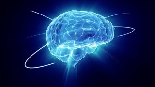 Human brain changes part 6 Amygdalas Putamen Corpus callosum Fornix Mandela Effects [upl. by Grosmark]