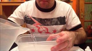 how to hatch killifish  part 1 [upl. by Airtemad]