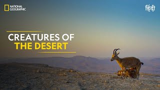 Creatures of the Desert  Hostile Planet  Full Episode  S1E4  National Geographic [upl. by Aidin]