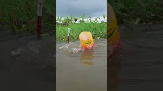 Bottle Fish Trap in Village Pond shorts fishvideo bigfish fishing [upl. by Niarbo391]