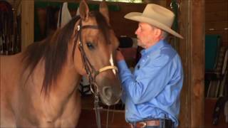 Charles Wilhelm shows how to properly fit and adjust a snaffle bit [upl. by Edgerton264]