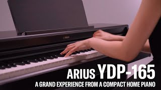 Yamaha Digital Piano ARIUS YDP165 Overview [upl. by Kapeed]