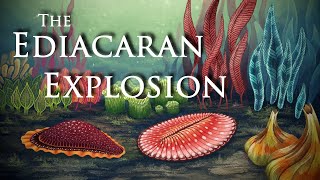 The Ediacaran Explosion ft CambrianScience [upl. by Enialehs]