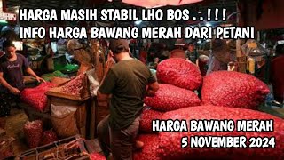 Info harga bawang merah dari petani hari ini 5 November 2024 [upl. by Otit]