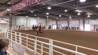 2023 western IEA regionals Horsemanship pattern [upl. by Berfield613]