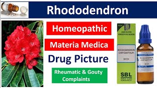 Rhododendron Homeopathic Medicine  Drug Picture  Materia Medica bhms [upl. by Bein]