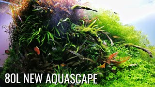 80L Home tank  New layout  closeups FAAO AQUASCAPING PLANTEDAQUARIUM [upl. by Euqinotna192]