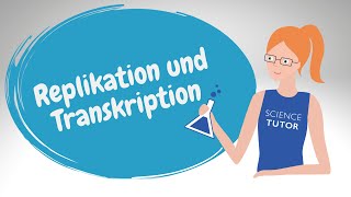 Replikation und Transkription  Unterschiede und Gemeinsamkeiten [upl. by Bonne508]