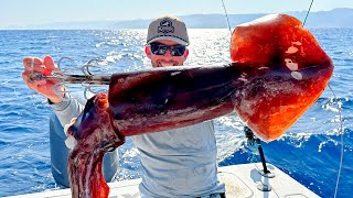 Fishing with Huge Squid as Bait to Catch Something Bigger [upl. by Nolak]