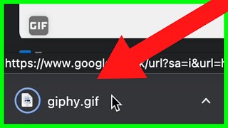 How to Download GIF from Google NEW UPDATE in 2023 [upl. by Nnyleitak]