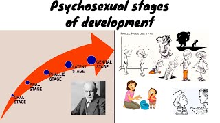 5 stages of development by sigmund freud  psychosexual development Hindiurdu [upl. by Mikah340]