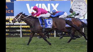 Randwick  2024 7 Sport Stakes Day Preview FANGIRL TO REIGN SUPREME [upl. by Yffat]