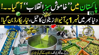 Pakistan Breaks Indian Record  Billion Dollars Industry of Pakistan  Biggest Olive Oil Production [upl. by Navac678]