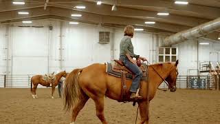 lighting at Rustler Ag amp Equine Complex Rocky Mt Power  PacificCorp [upl. by Tshombe]