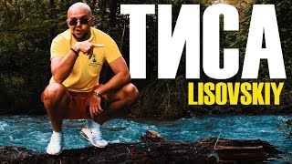 LISOVSKIY  ТИСА prod FySnow quotТа який ти патріот якщо ти не лисийquot [upl. by Lawtun]