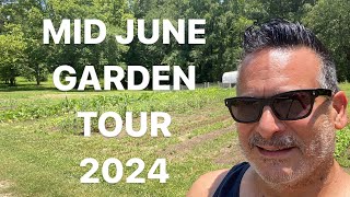 Garden Tour and Meat Bird Update [upl. by Allis]