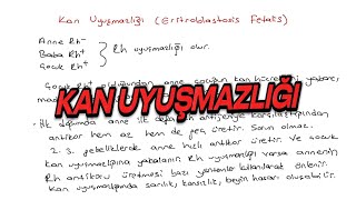 KONU ANLATIMI KAN UYUŞMAZLIĞI [upl. by Angelia]