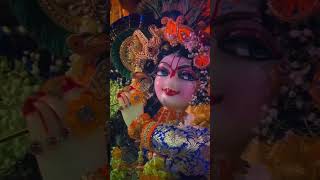 Jai shree radhe Krishnayoutube ytstudioes bhajanRadha Krishna [upl. by Eirrej726]