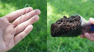 5 Gardening HACKS in 2 MIN [upl. by Reidid]