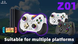 Z01 PC GAMEPAD DUAL HALL EFFECT GAMING CONTROLLER  How to Connect [upl. by Annoid]